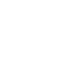 Training & Development